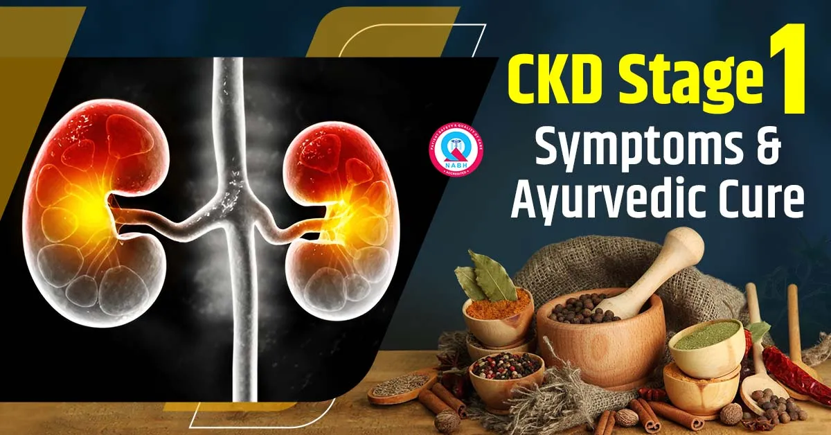 ckd-stage-1-symptoms-ayurvedic-cure